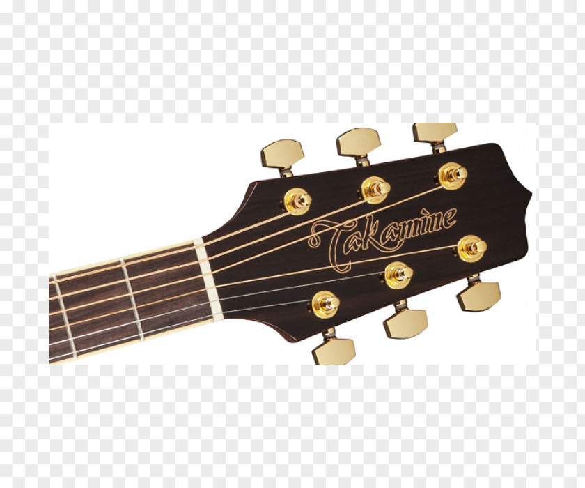 Acoustic Guitar Acoustic-electric Takamine Guitars Cutaway PNG