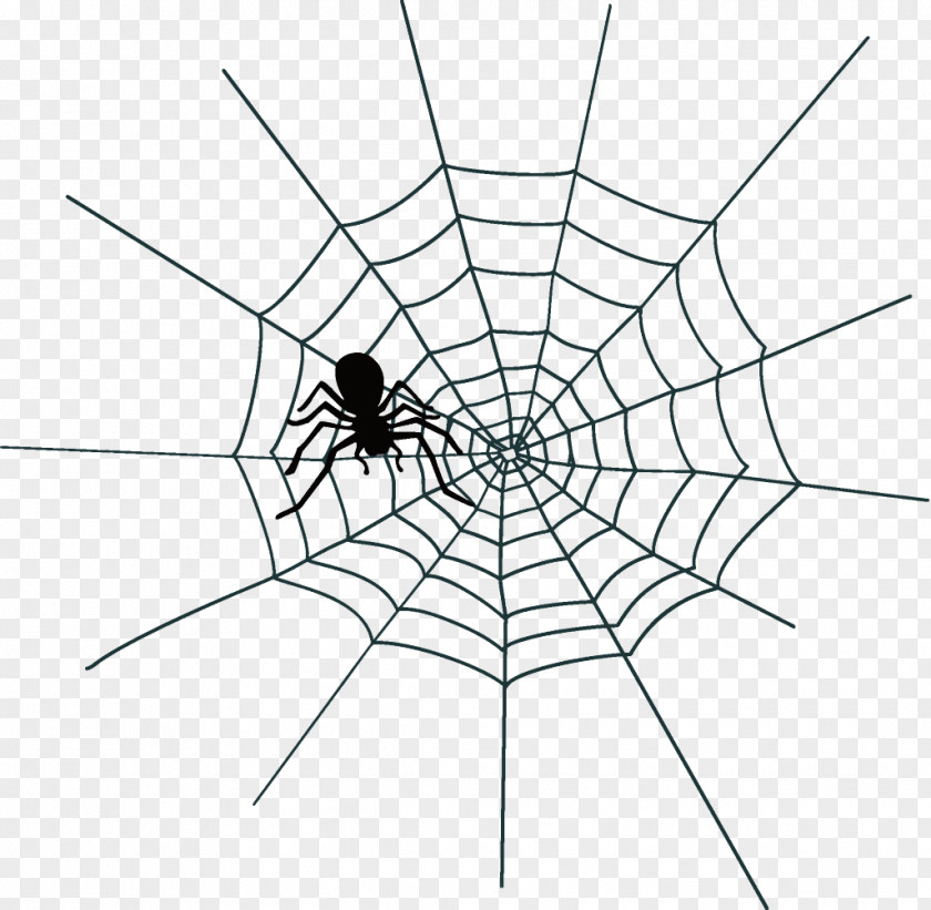 Symmetry Blackandwhite Spider Web Halloween PNG