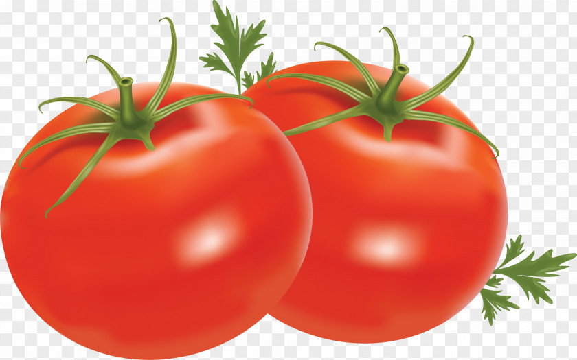 Tomatoes Vegetable Cherry Tomato Fruit Clip Art PNG