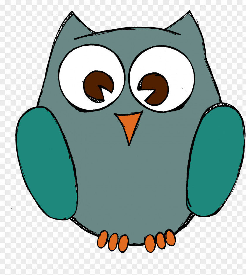 Eastern Screech Owl Teal Green Bird Cartoon Turquoise PNG