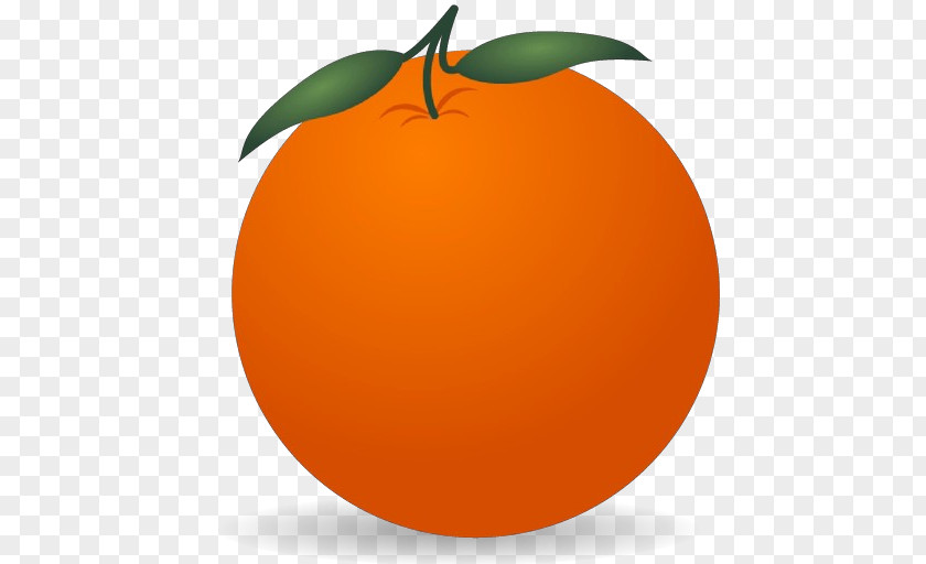 Mandarin Orange Tree PNG