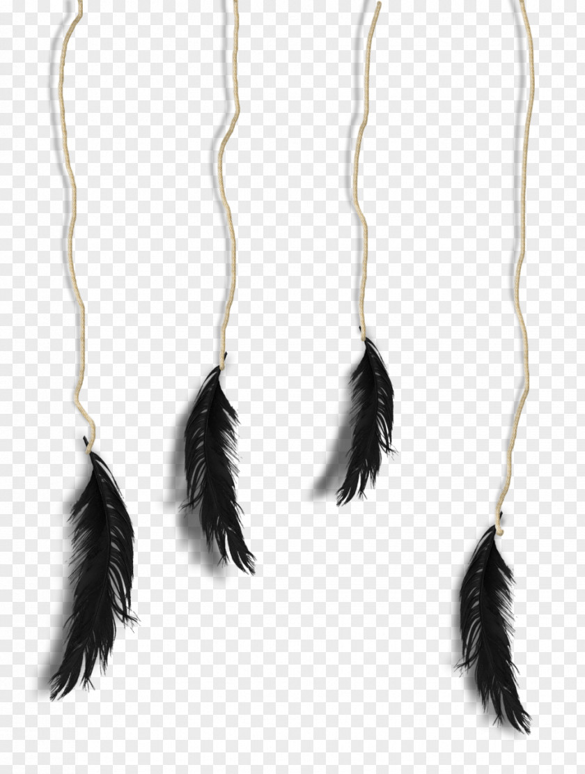 Mermaid Tail Feather Jewellery Drug PNG
