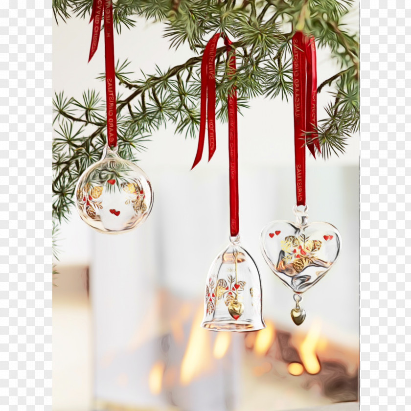 Pine Family Christmas Tree Watercolor PNG