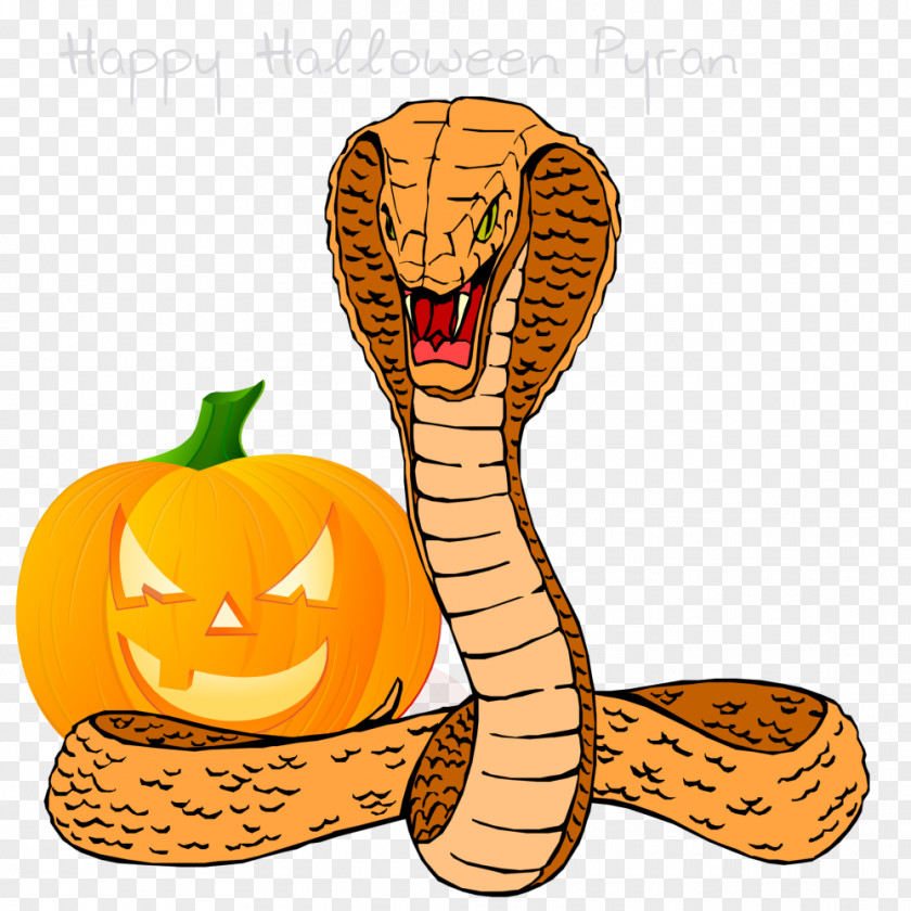 Pyran Snakes King Cobra Clip Art Vector Graphics Illustration PNG