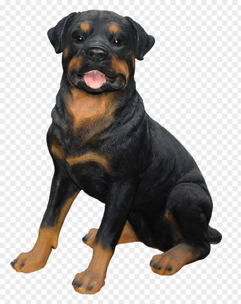 Vivid Rottweiler Puppy Golden Retriever Labrador Dog Breed PNG