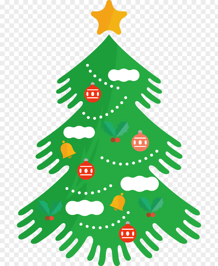 Conifer Tree Christmas PNG