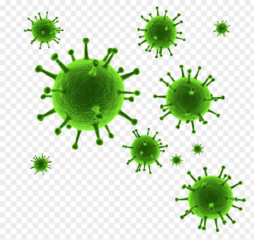 Organism Green Can Stock Photo PNG