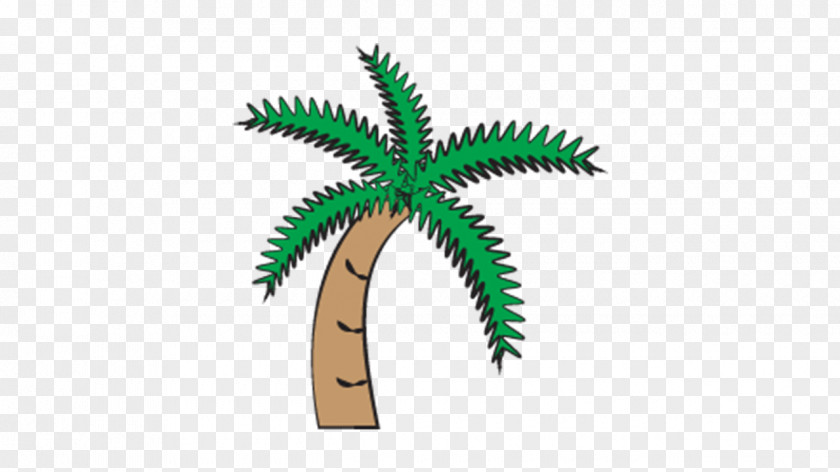 There Are Exotic Arecaceae Flowerpot Plant Stem Tree PNG