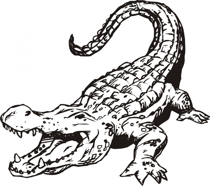 Bear Mascot Clipart Alligator Crocodile Black And White Clip Art PNG