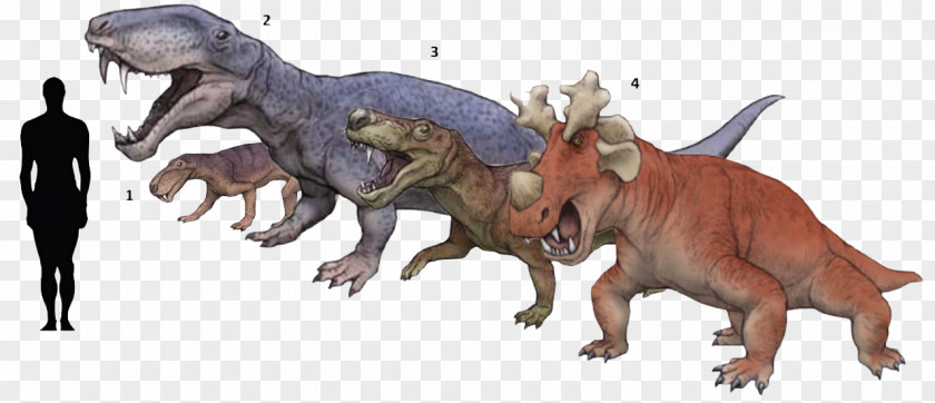 Dinosaur Synapsid Lycaenops Inostrancevia Therapsid Mammal PNG