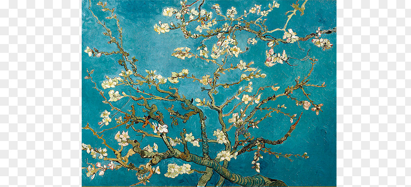 Painting Almond Blossoms Oil Tree In Bloom PNG