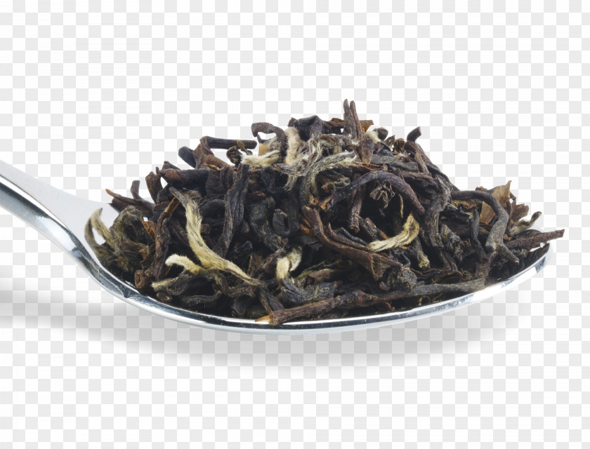 Tea Dianhong Nilgiri White Oolong PNG