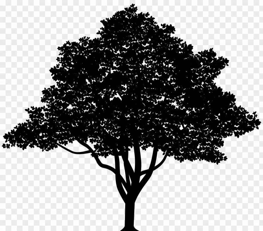 Vector Graphics Tree Royalty-free Clip Art Illustration PNG