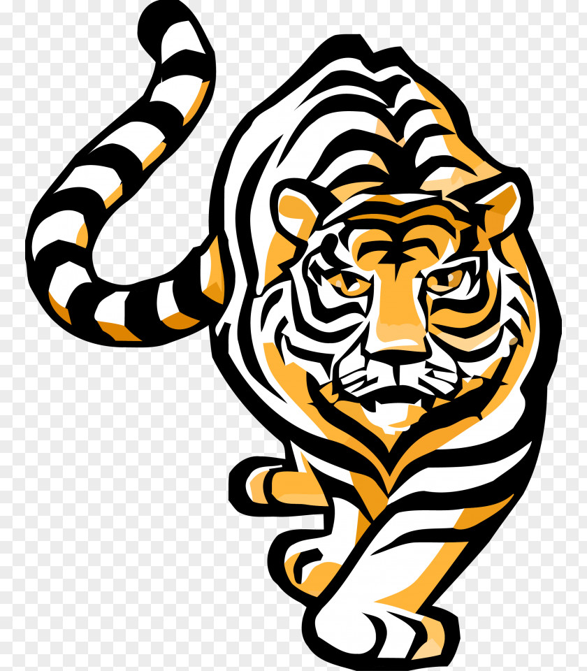 Bengal Cat Tiger Felidae Drawing Clip Art PNG