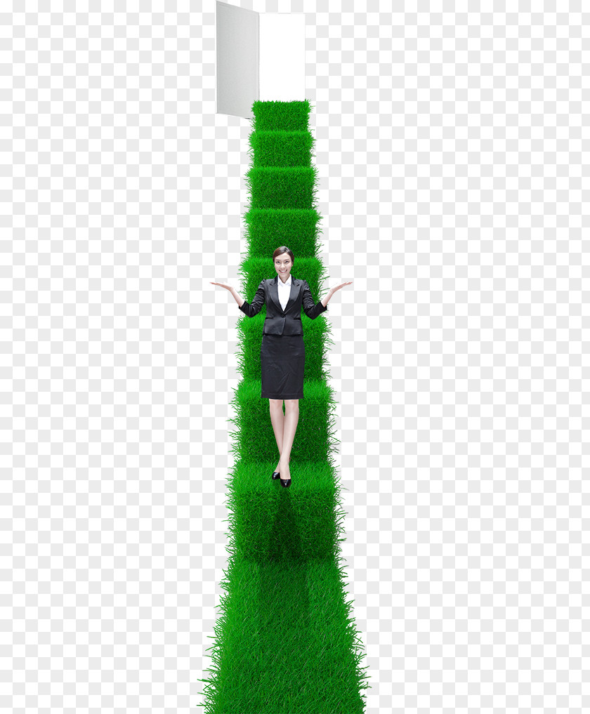 Green Stairs Stair Carpet Ladder PNG