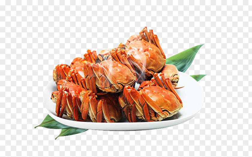 Hairy Crabs Crab Seafood Hot Pot Poster Fishing Industry PNG