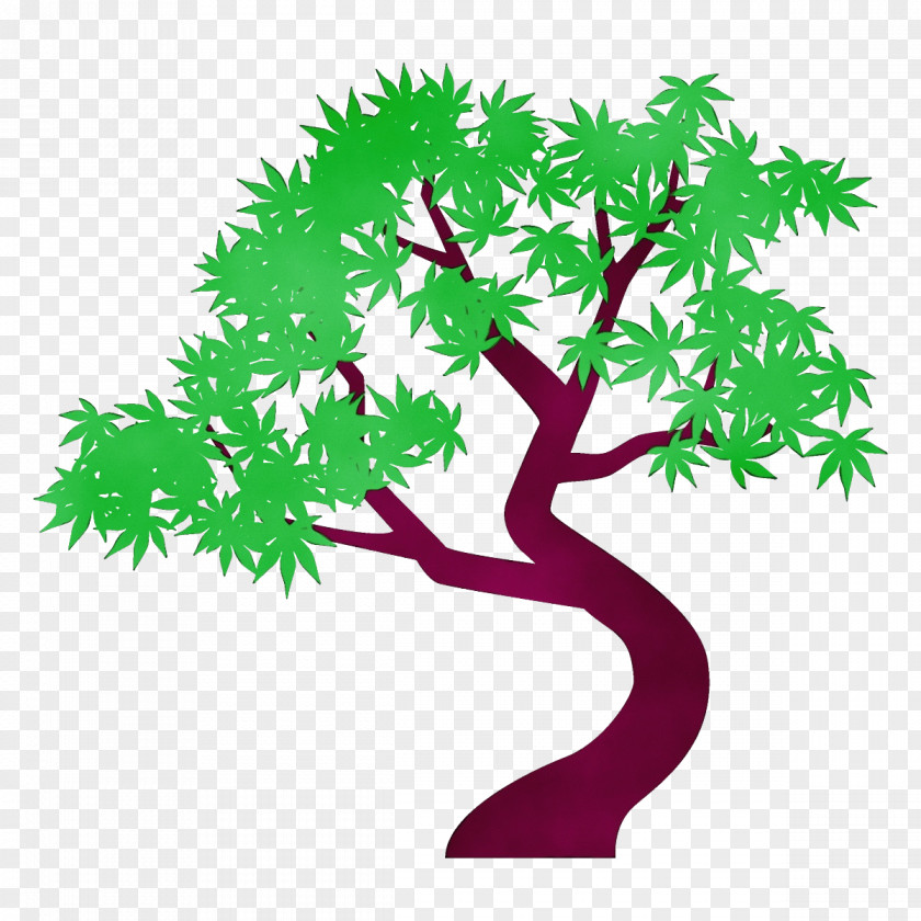 Houseplant Plant Stem Green Tree Branch Clip Art Leaf PNG