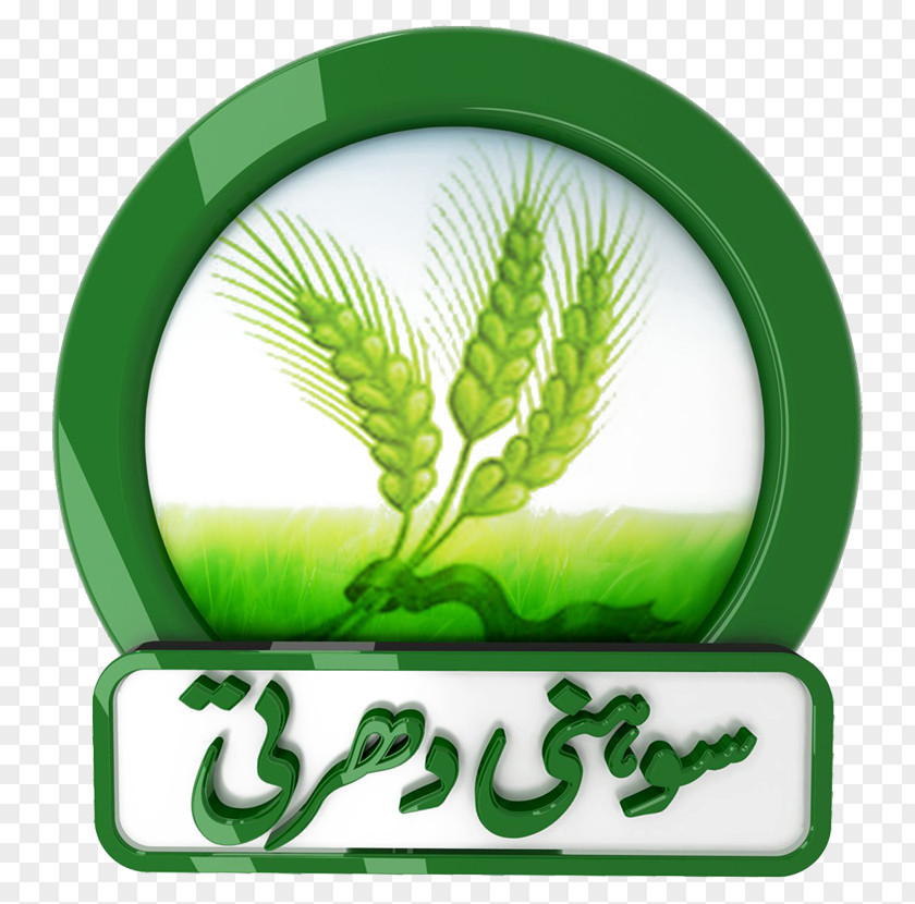 Hum Sitaray Pakistan Television Show Zhwandoon TV Live Radio PNG