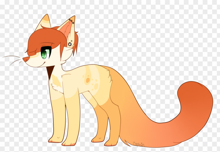 Kitten Whiskers Red Fox Cat Lion PNG