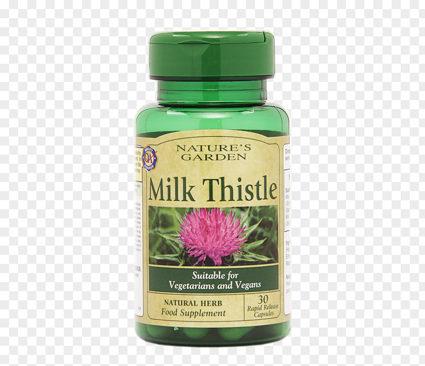 Milk Thistle Dietary Supplement Capsule Liver PNG