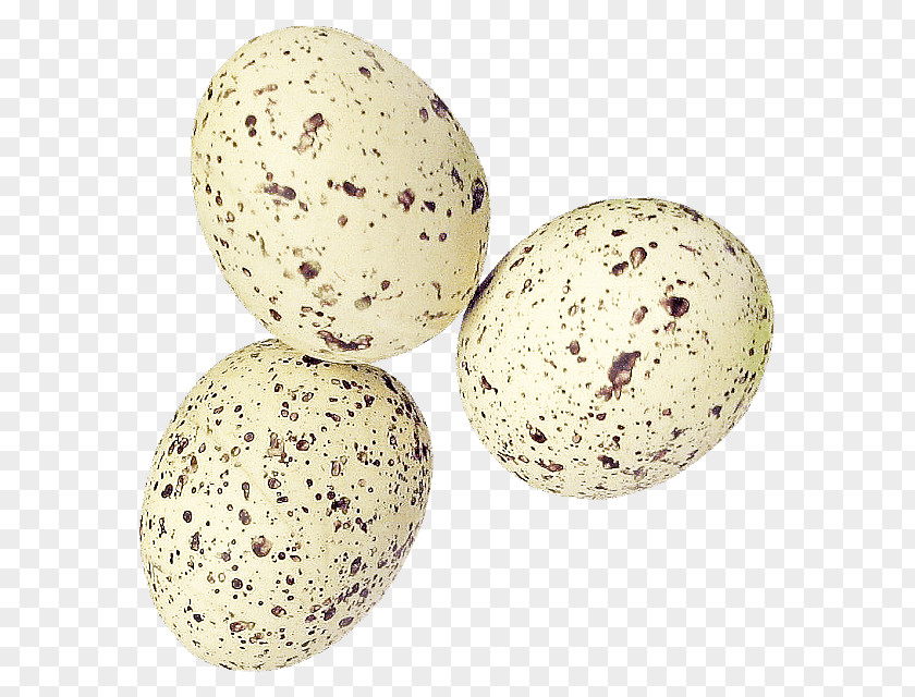 Oval Food Egg PNG