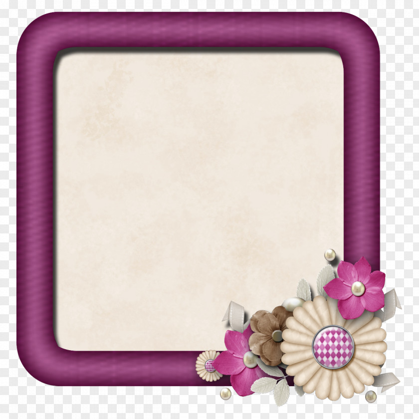 Picture Frames Photography Pattern PNG