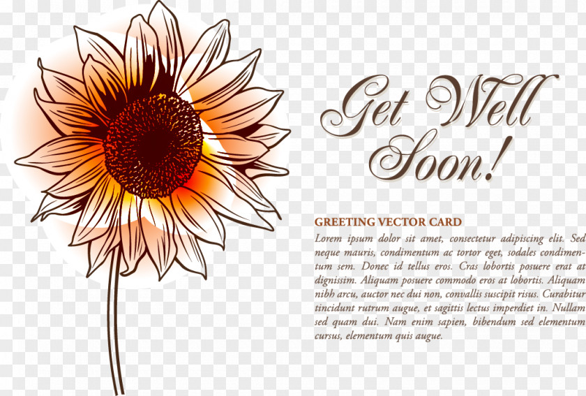 Vector Illustration Sunflower Watercolor Painting Graphic Design Euclidean PNG