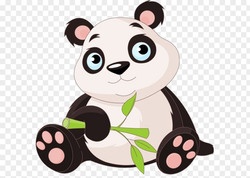 Bear Giant Panda Baby Pandas Clip Art PNG