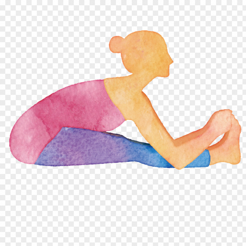 Color Vector Material Yoga Poses Iyengar Bhujangasana Physical Exercise PNG