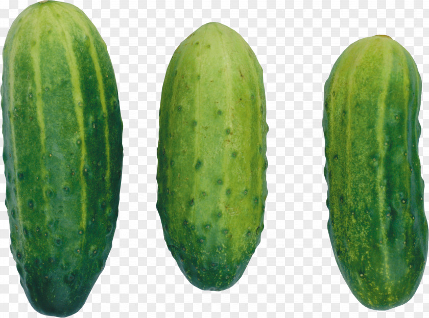 Cucumber Icon PNG