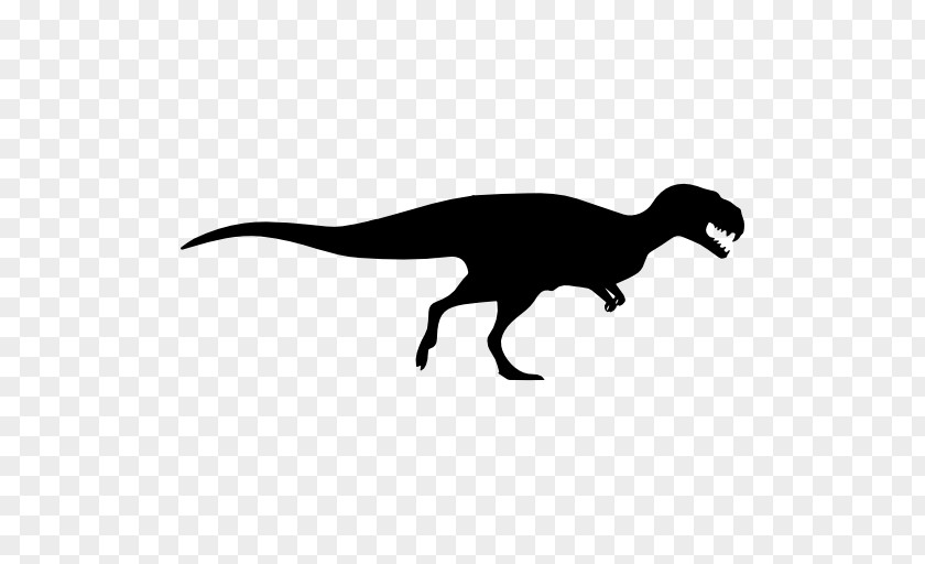 Dinosaur Vector Tyrannosaurus Gorgosaurus Gigantoraptor Velociraptor PNG