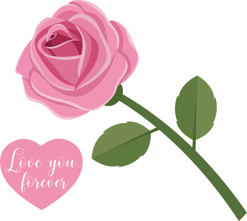 Garden Roses PNG