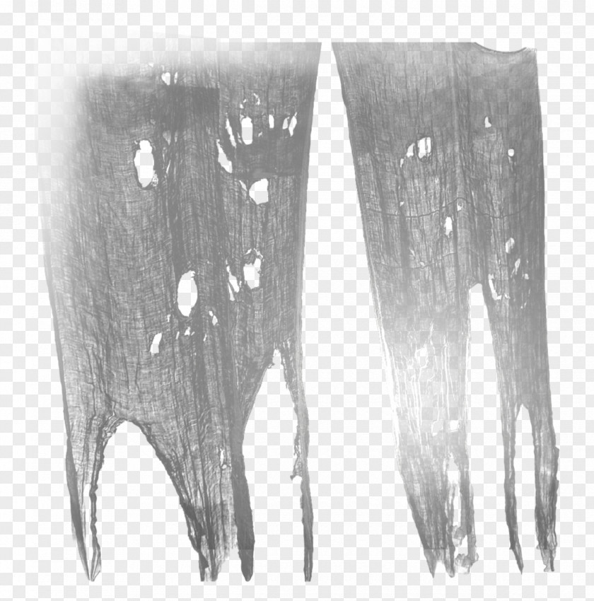 Icicle Blackandwhite Ice Background PNG