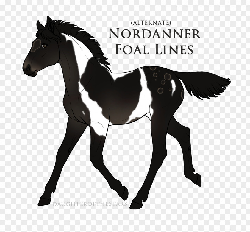Mustang Stallion Arabian Horse Mane Pony PNG
