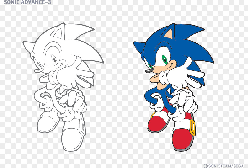 Ta Anit Esther Sonic The Hedgehog Chronicles: Dark Brotherhood Tails PNG