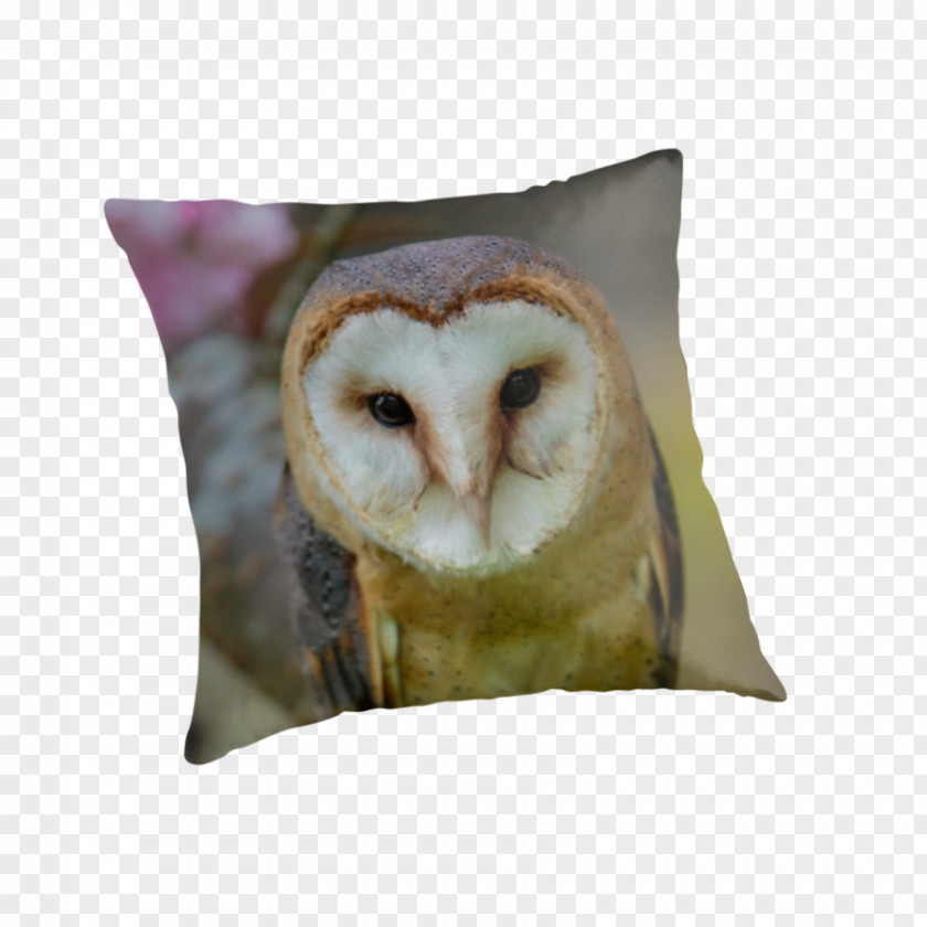 Barn Owl Throw Pillows Cushion Snout PNG