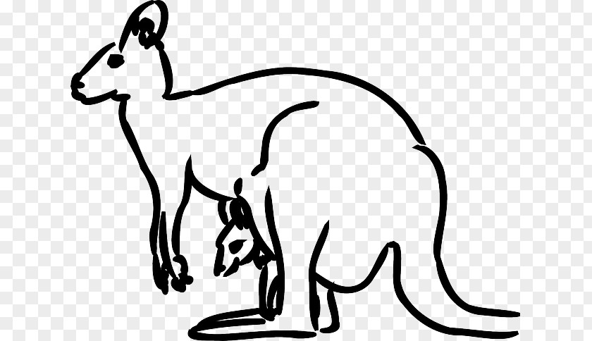 Boxing Kangaroo Coloring Book Clip Art PNG