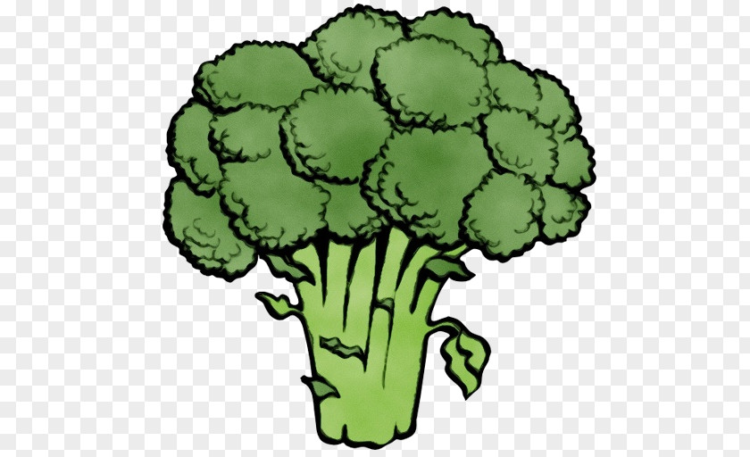 Broccoli Leaf Vegetable Plant PNG