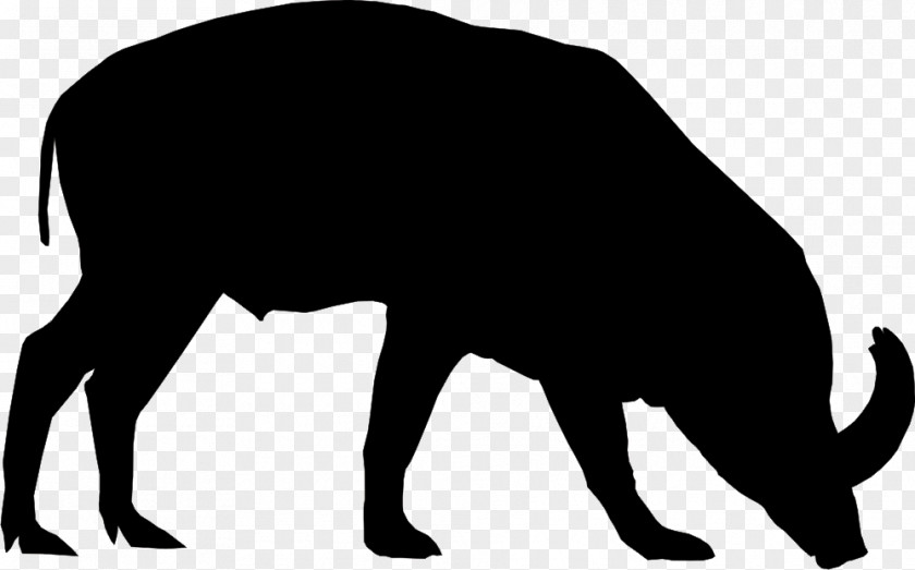 Cat Indian Elephant African Cattle Clip Art PNG