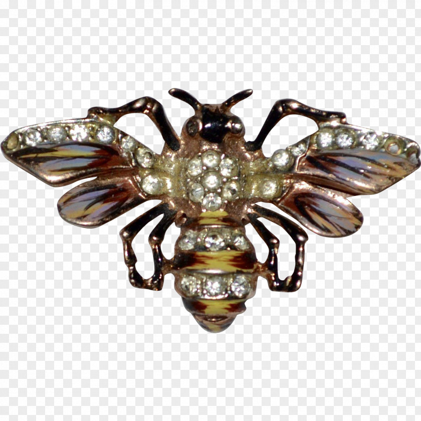 Insect Brooch PNG