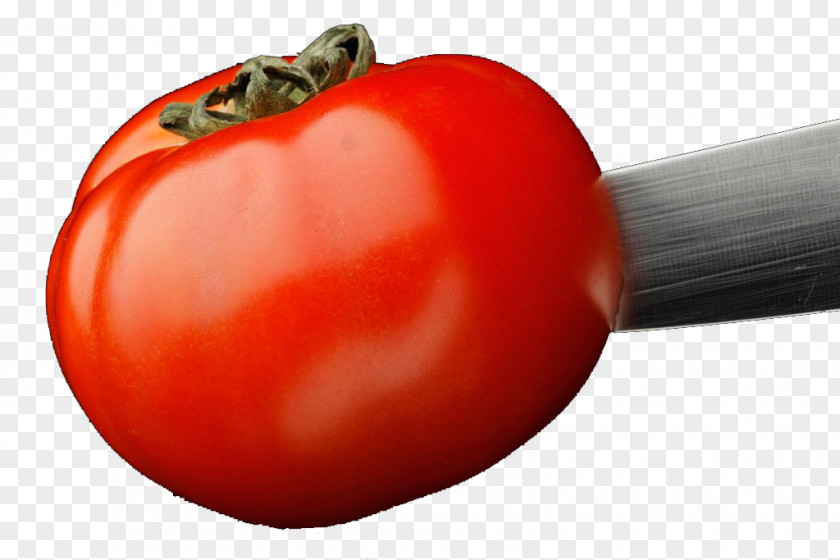 Tomato Vegetable Food PNG