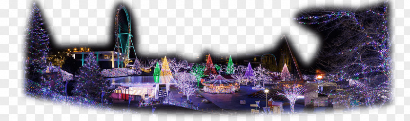 Common Fig Yomiuriland Amusement Park Tokyo PARTY☆PARTY イルミネーション PNG