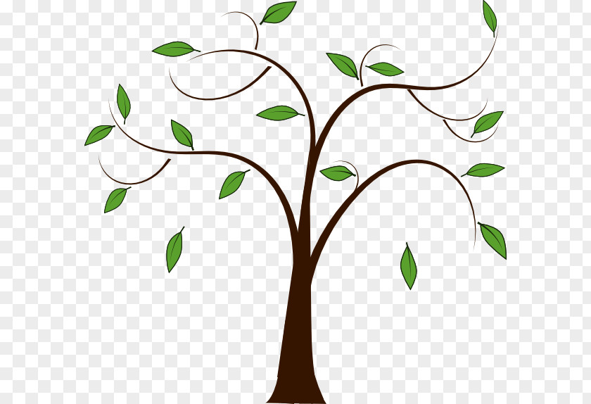 Family Tree Branch Trunk Clip Art PNG