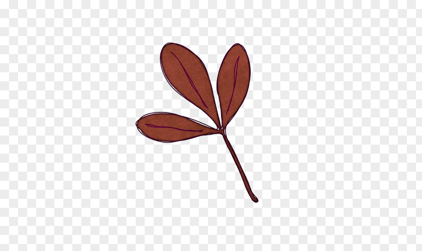 Leaves Product Design Leaf PNG