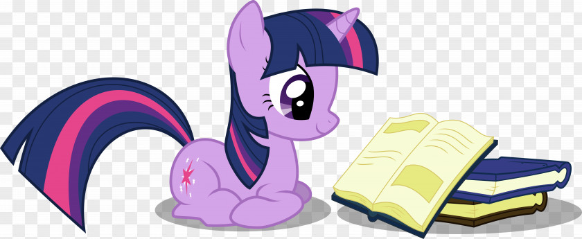 My Little Pony Twilight Sparkle Rarity Pinkie Pie Rainbow Dash PNG