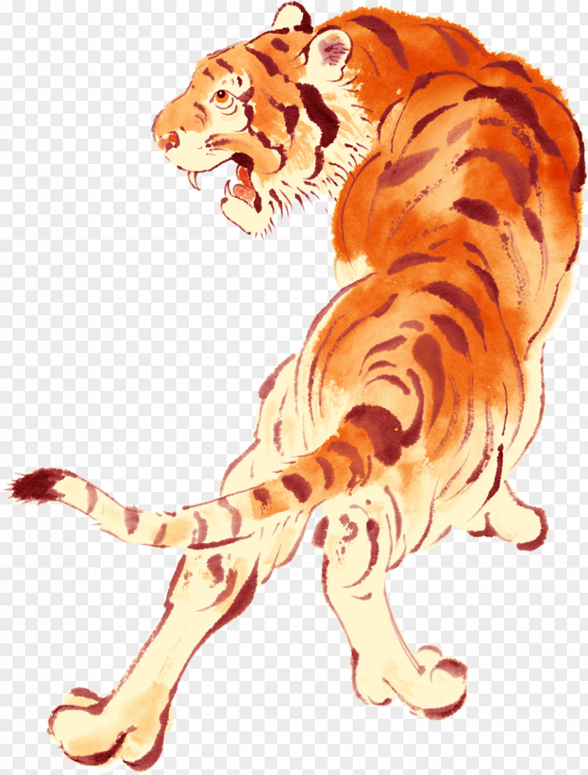 Tiger Photography Clip Art PNG
