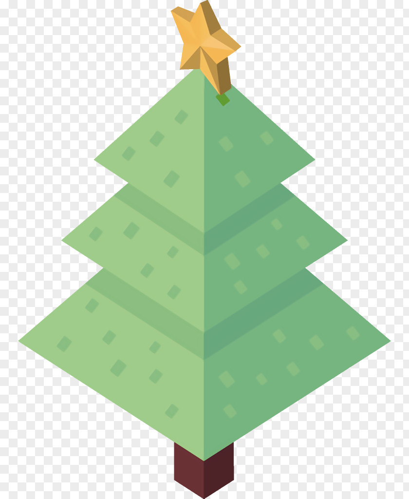 Evergreen Conifer Christmas Tree PNG