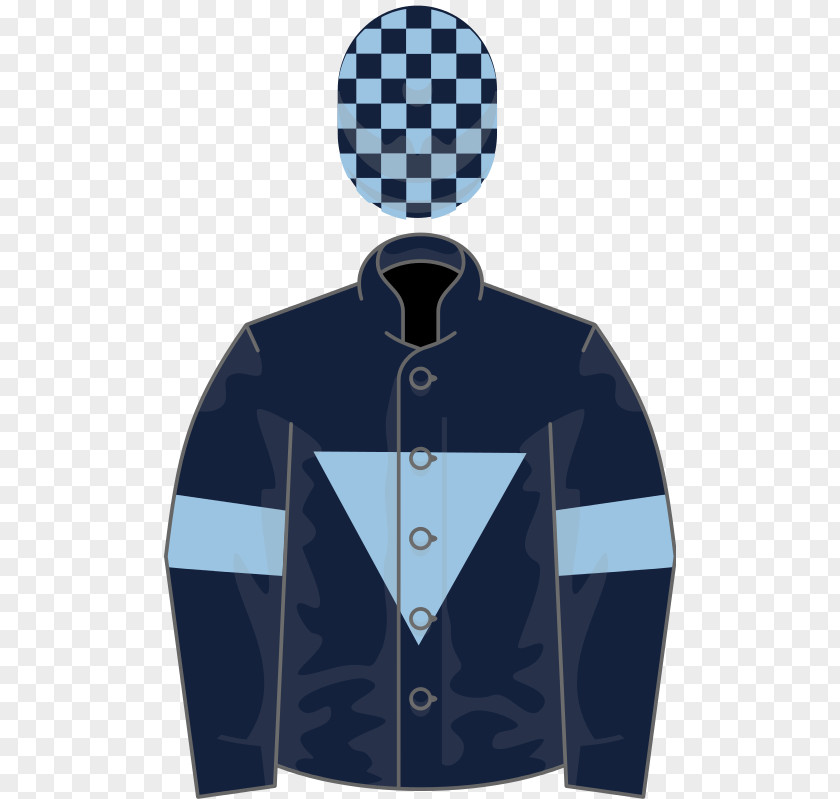 Kingwell Hurdle Thoroughbred 2017 Melbourne Cup Phoenix Wright: Ace Attorney Clip Art PNG