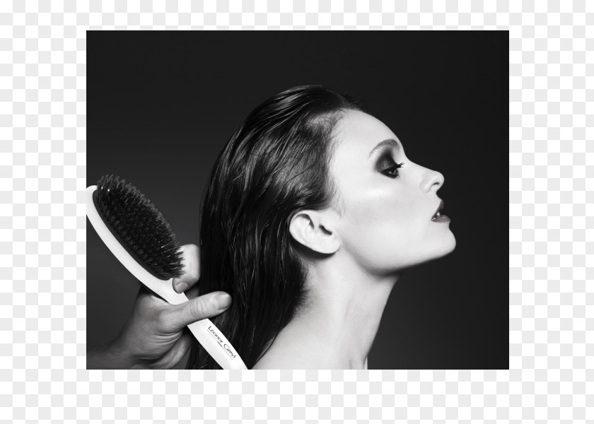 On Boarding Beauty Cosmetologist Hairstyle Capelli Eyelash PNG