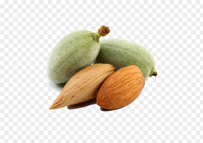 Almond Dried Fruit Nut PNG